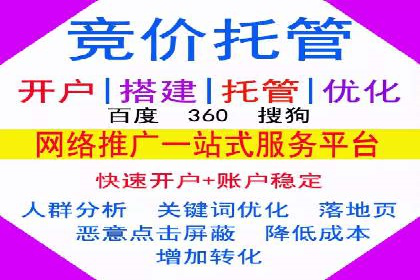 电商SEM推广案例解析